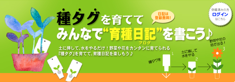 種タグを育ててみんなで育成日記（ブログ）を書こう