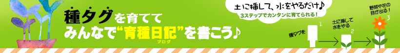 種タグを育ててみんなで育種日記（ブログ）を書こう