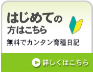 はじめての方はこちら